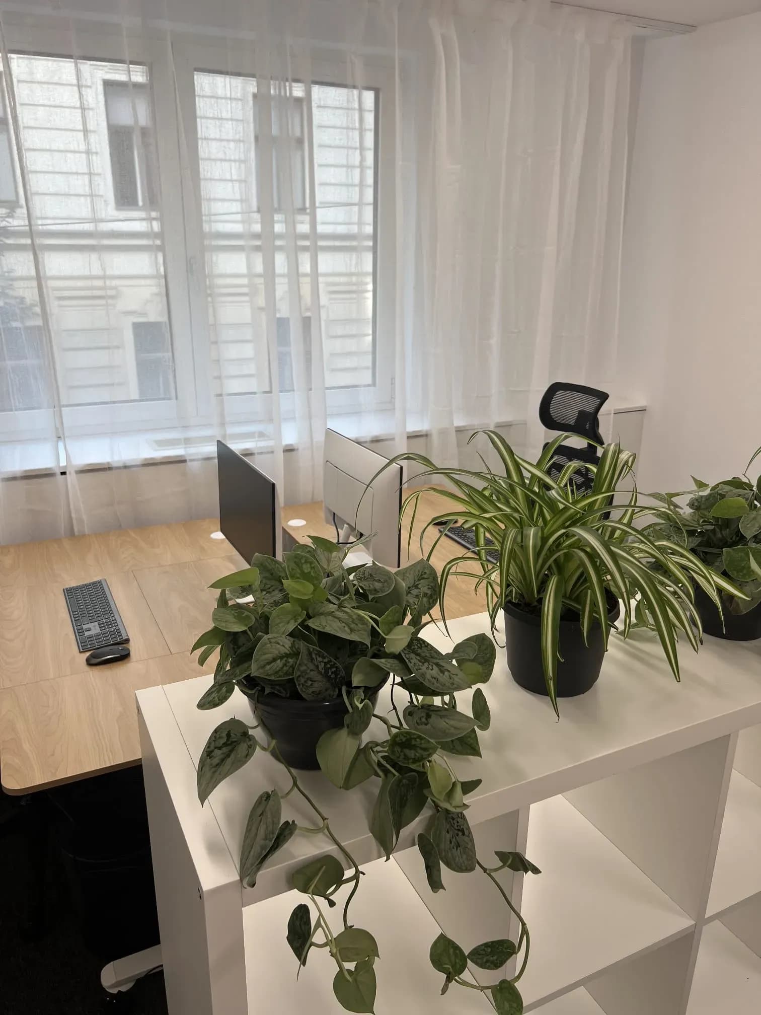 Coworking & Kurzzeitbüros Wien – flexible Pakete für Unternehmen